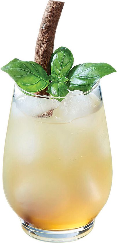 Chef & Sommelier Absoluty Waterglazen - 450ml - 6 Stuks