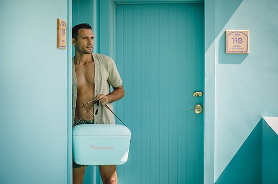 Polarbox Koelbox met Schouderband - Pastelgroen - 20 Liter - 45x30x(H)27cm