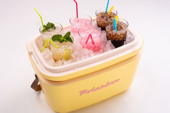 Polarbox Retro Koelbox Nevera – 12 Liter Inhoud – Duurzaam Geproduceerd