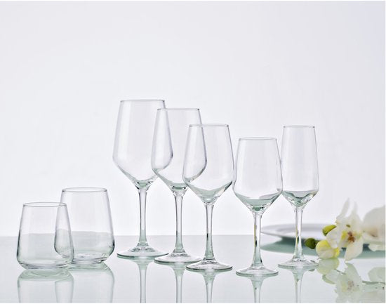 Vicrila wijnglazen Grigio - 6x stuks - voor rode en witte wijn - 250 ml - 19 x 7 cm - transparant - Horeca kwaliteit - Hard glas