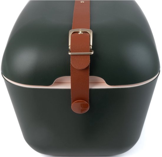 Polarbox Green Forest Gold, Thermische doos, 20 l, Goud, Groen, Polystyreen, 447 mm, 302 mm