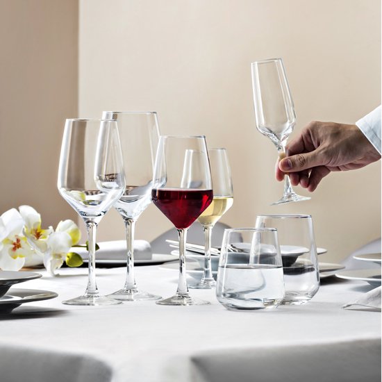 Vicrila wijnglazen Grigio - 6x stuks - voor rode en witte wijn - 440 ml - 23 x 9 cm - transparant - Horeca kwaliteit - Hard glas