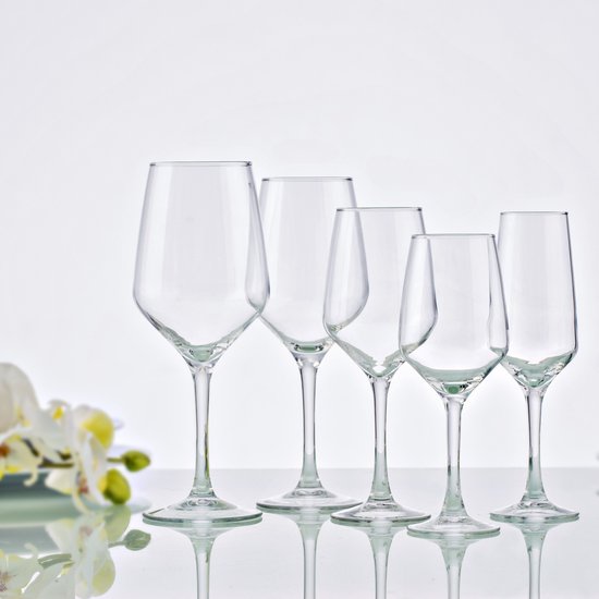 Vicrila wijnglazen Grigio - 6x stuks - voor rode en witte wijn - 440 ml - 23 x 9 cm - transparant - Horeca kwaliteit - Hard glas