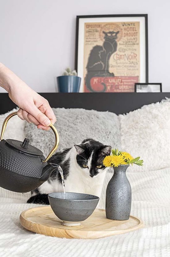 Cosy & Trendy Shinto Theepot - 1L2 - Zwart - Koper Handvat